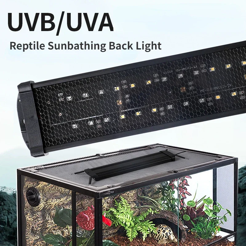 Calcium Powder Reptile - Reptile UVA + UVB spectre complet