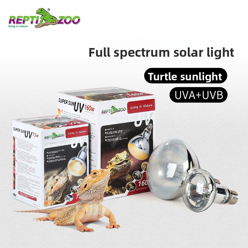 Calcium Powder Reptile - Reptizoo – lampe solaire pour reptiles,
