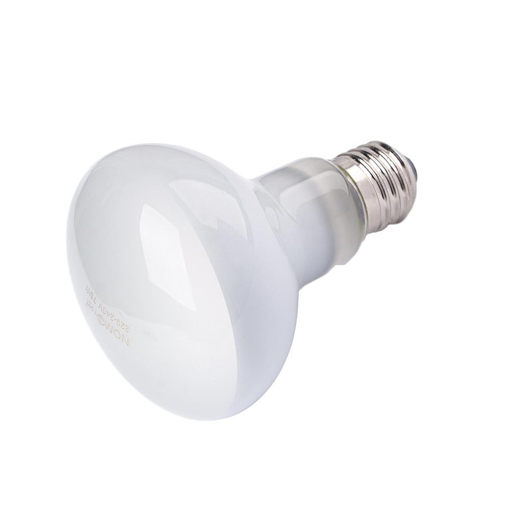 Basking Bulb Halogen - Lampe chauffante pour tortues, lampe chauffante