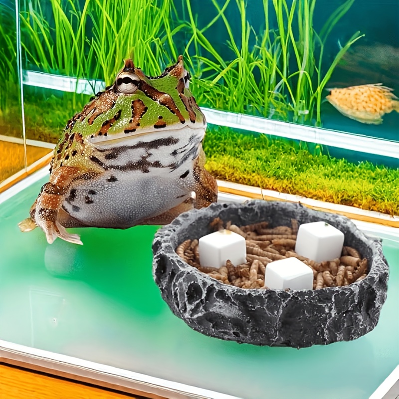 6 pièces de pierres de calcium - Calcium Powder Reptile avis et prix