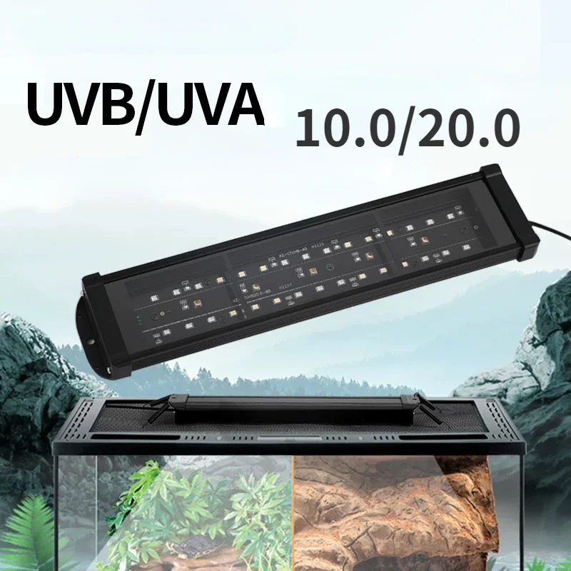 Reptile UVA + UVB spectre comp - Calcium Powder Reptile avis et prix