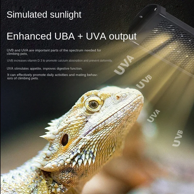 Reptile UVA + UVB spectre comp - Calcium Powder Reptile avis et prix