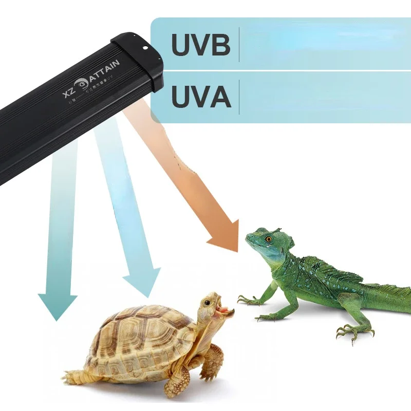 Reptile UVA + UVB spectre comp - Calcium Powder Reptile avis et prix