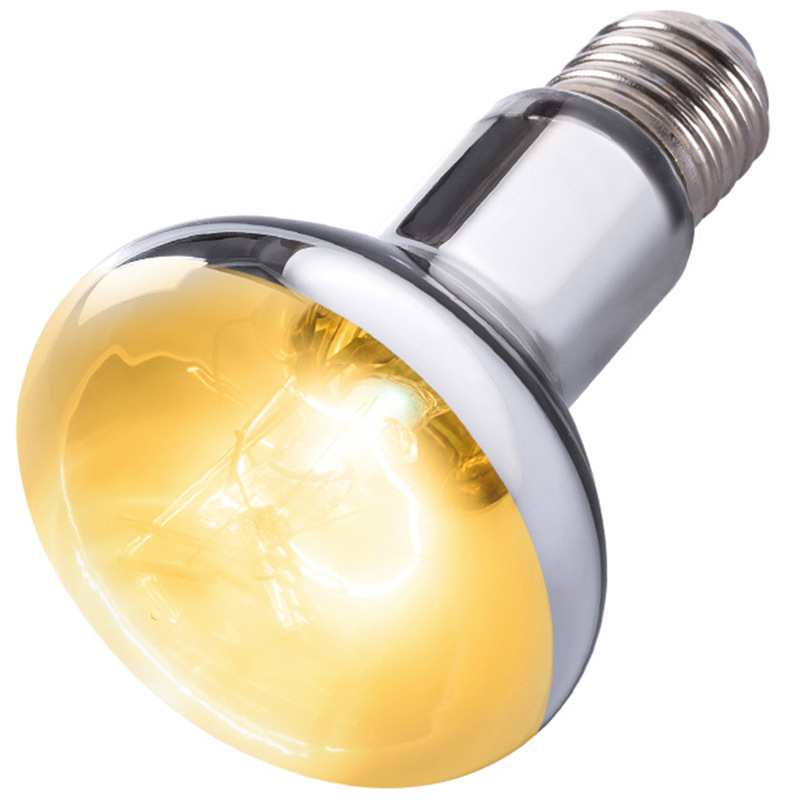 Reptizoo – lampe solaire pour  - Calcium Powder Reptile avis et prix