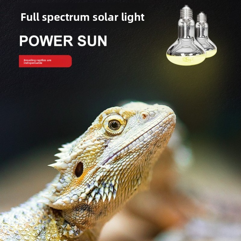 Reptizoo – lampe solaire pour  - Calcium Powder Reptile avis et prix