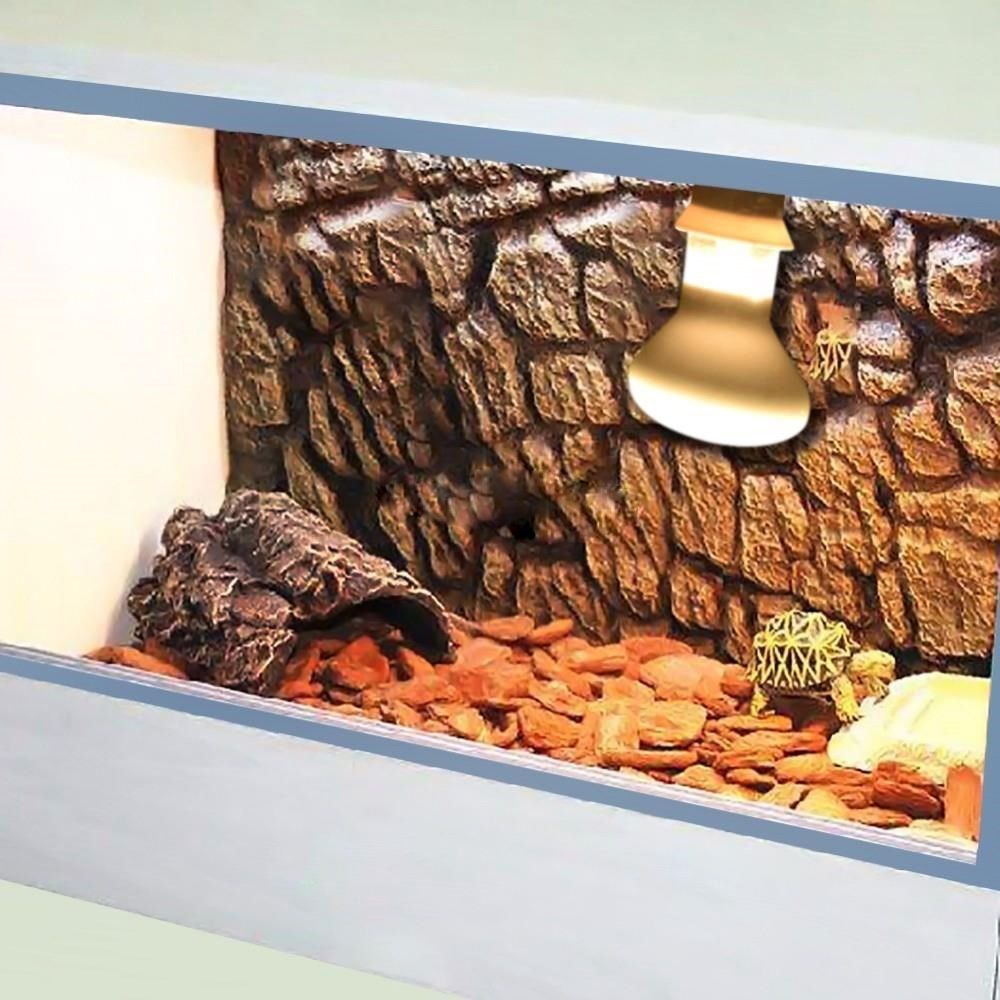 Lampe chauffante pour tortue,  - Basking Bulb Halogen avis et prix