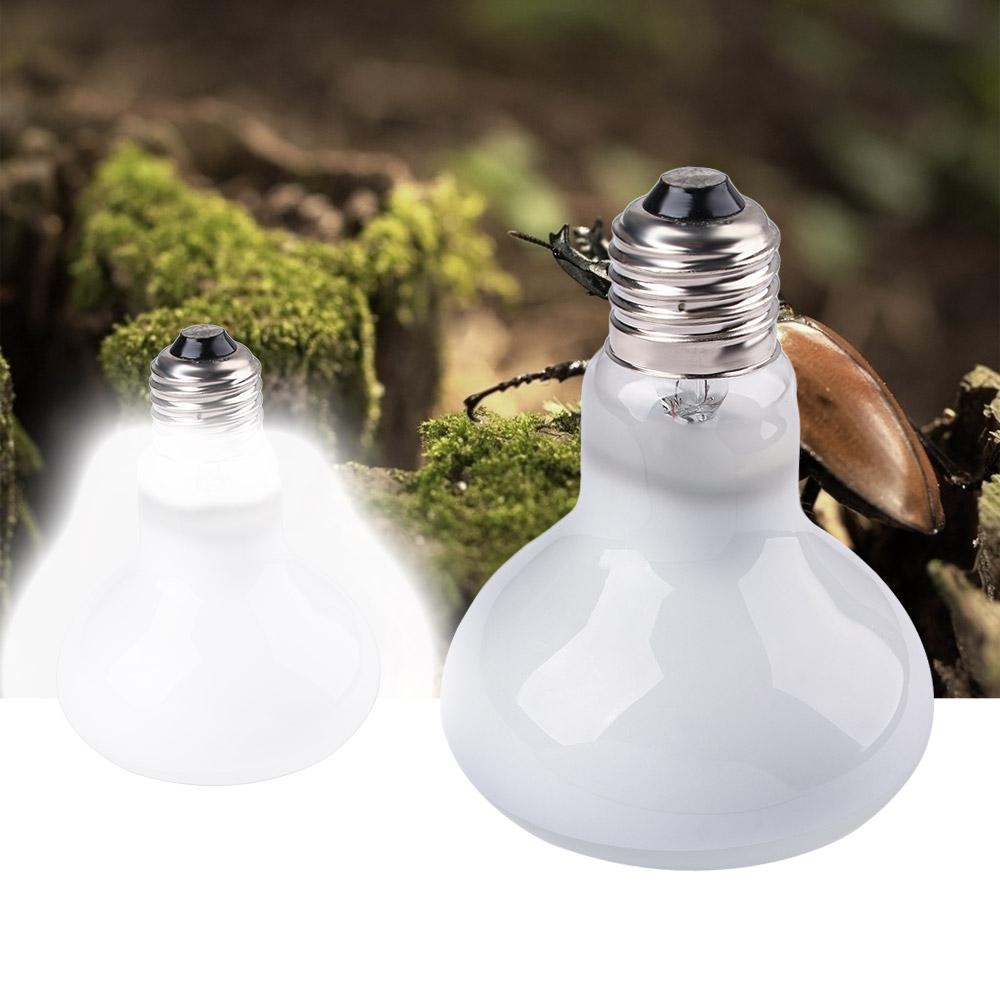 Lampe chauffante pour tortue,  - Basking Bulb Halogen avis et prix