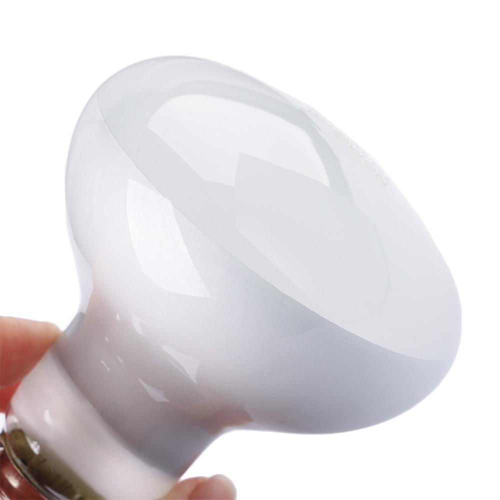 Lampe chauffante pour tortue,  - Basking Bulb Halogen avis et prix