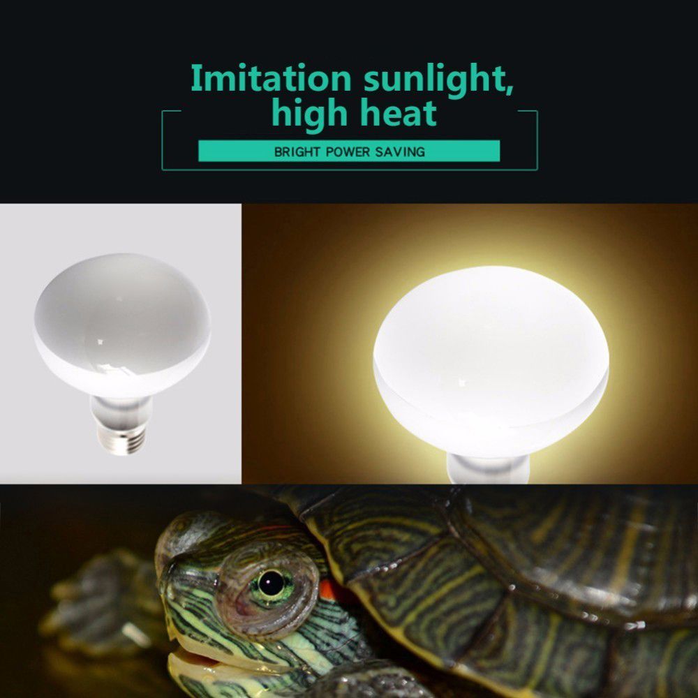 Contrôleur de température pour - Basking Bulb Halogen avis et prix
