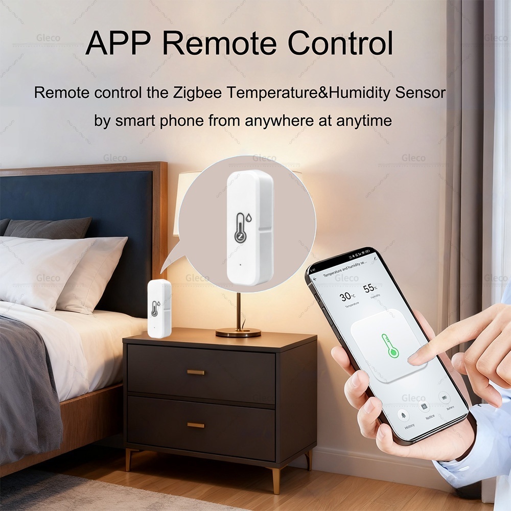 Tuya Zigbee 3.0 Mini capteur d - Digital Hygrometer Probe avis et prix