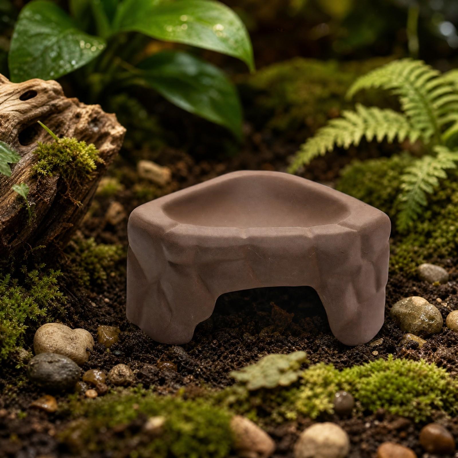 Plateforme d'alimentation pour - Hide Cave Ceramic avis et prix