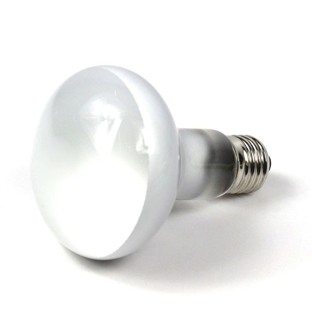 Lampe chauffante pour tortues, - Basking Bulb Halogen avis et prix