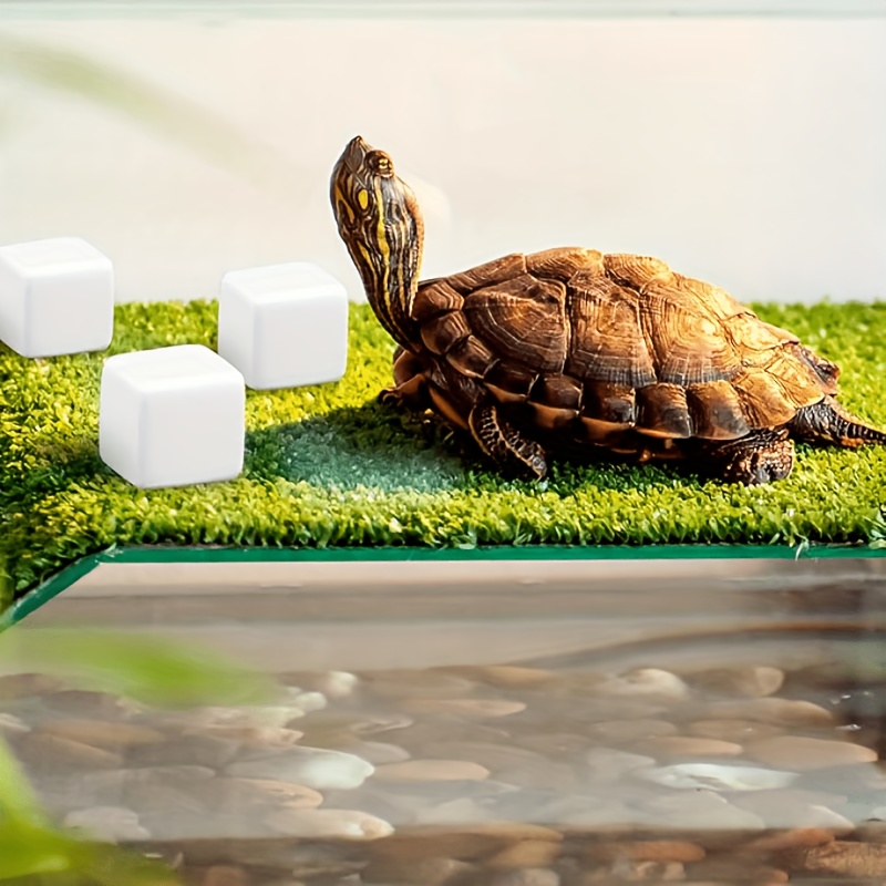 6 Blocs de Calcium pour Aquari - Calcium Powder Reptile avis et prix